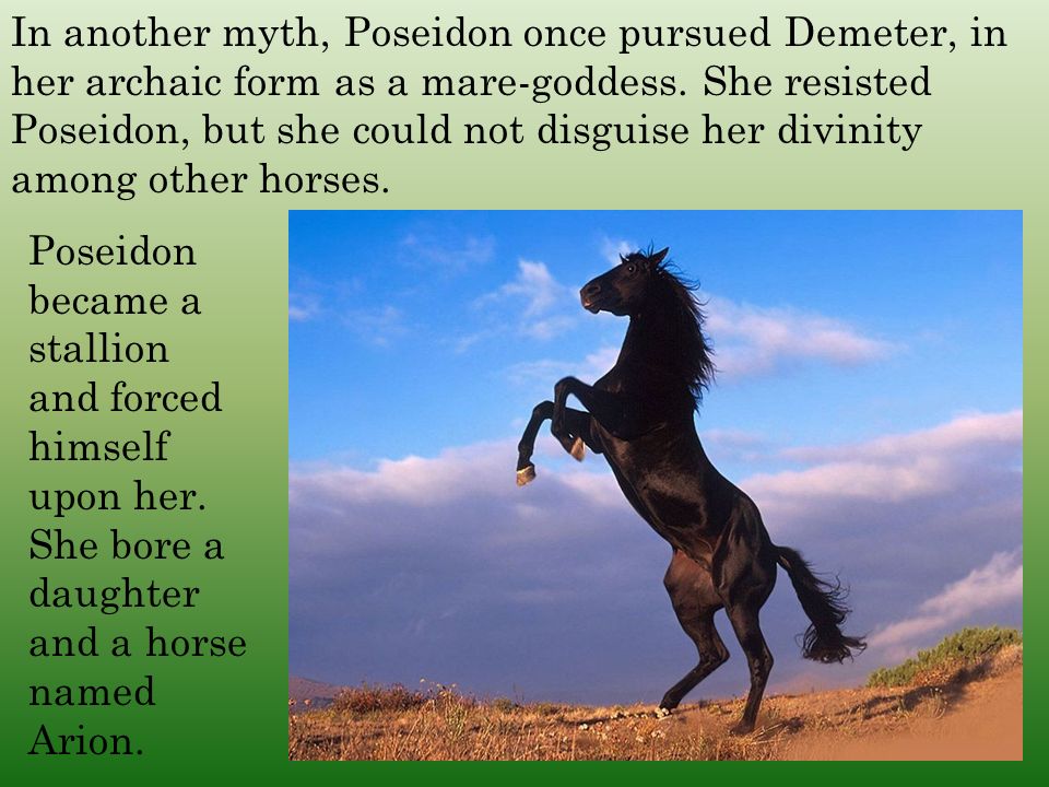 arion horse greek mythology