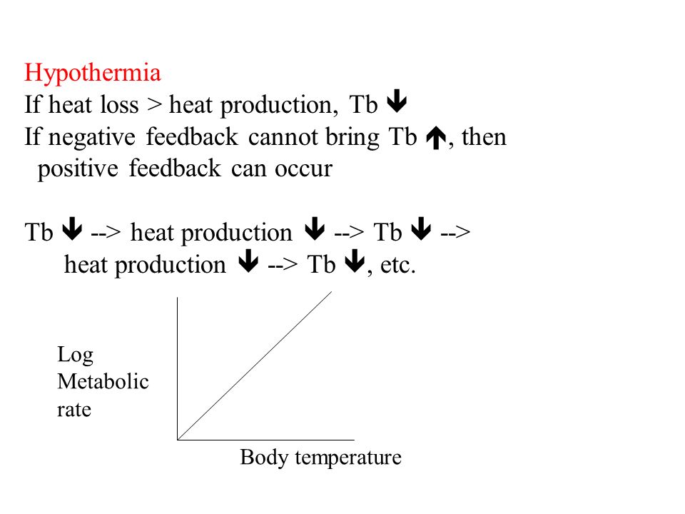 Human Physiology Sweating Hypothalamus --> SNS output--> SNS releases ...