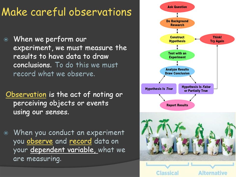 Make careful observations  When we perform our experiment, we must measure the results to have data to draw conclusions.