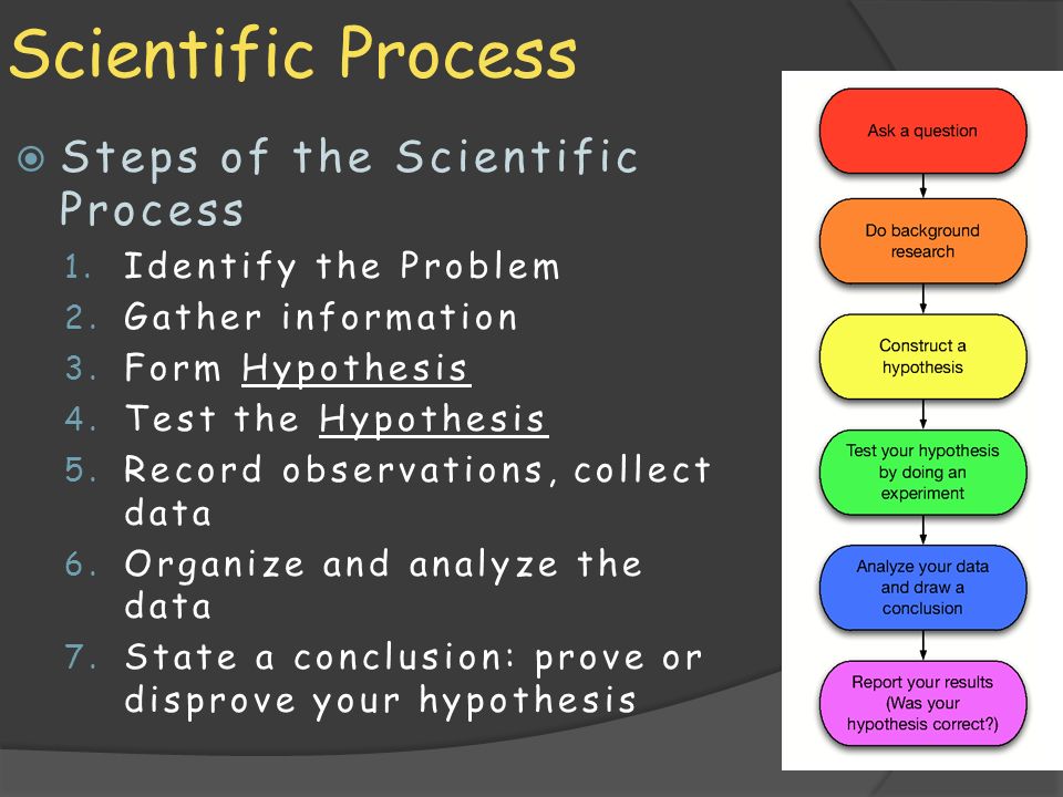 Scientific Process  Steps of the Scientific Process 1.