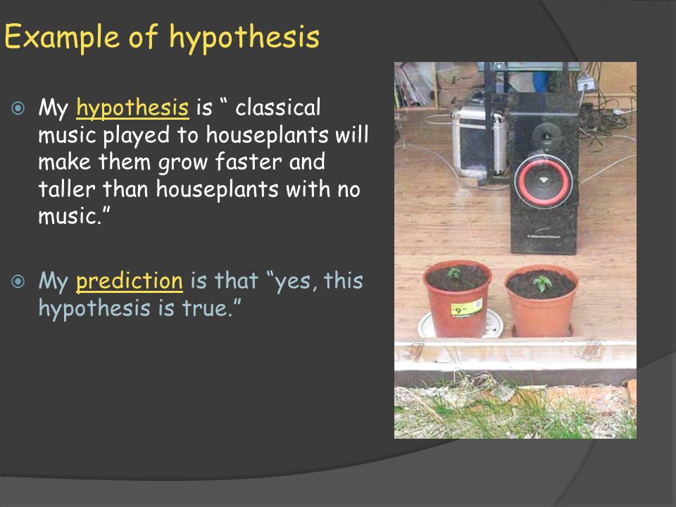 Example of hypothesis  My hypothesis is classical music played to houseplants will make them grow faster and taller than houseplants with no music.  My prediction is that yes, this hypothesis is true.