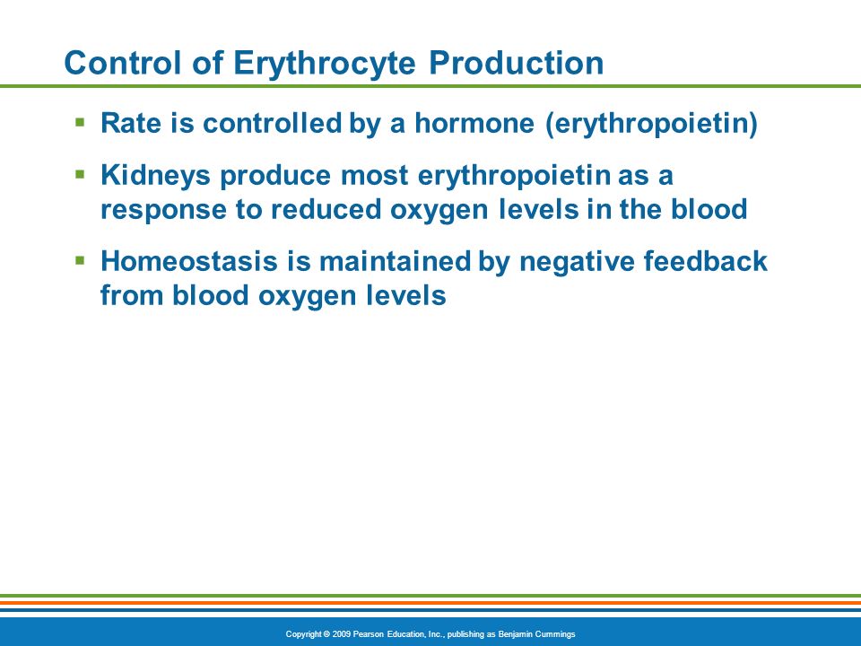 Copyright © 2009 Pearson Education, Inc., publishing as Benjamin Cummings Control of Erythrocyte Production  Rate is controlled by a hormone (erythropoietin)  Kidneys produce most erythropoietin as a response to reduced oxygen levels in the blood  Homeostasis is maintained by negative feedback from blood oxygen levels
