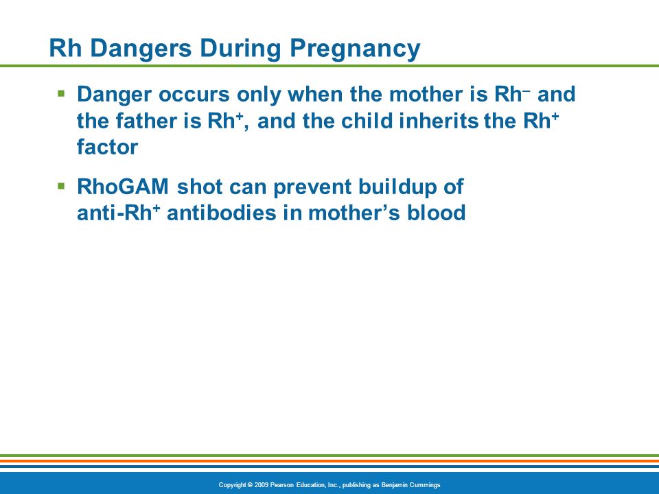 Copyright © 2009 Pearson Education, Inc., publishing as Benjamin Cummings Rh Dangers During Pregnancy  Danger occurs only when the mother is Rh – and the father is Rh +, and the child inherits the Rh + factor  RhoGAM shot can prevent buildup of anti-Rh + antibodies in mother’s blood