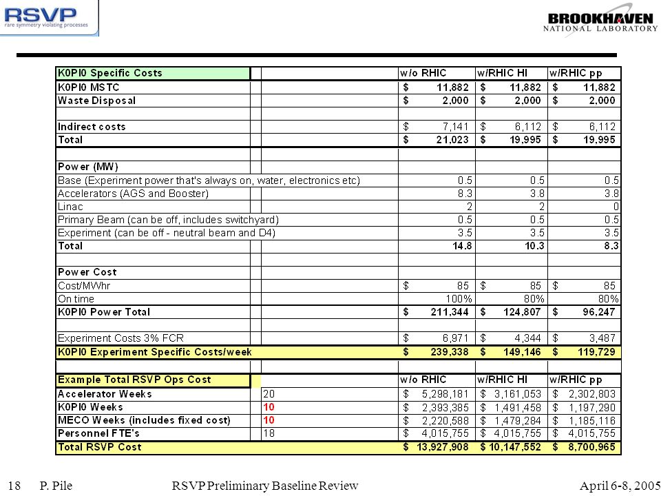 April 6-8, 2005P. Pile RSVP Preliminary Baseline Review18