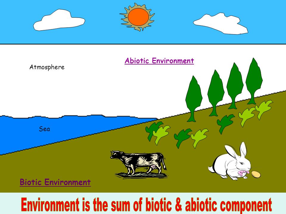 Atmosphere Sea Abiotic Environment Biotic Environment.