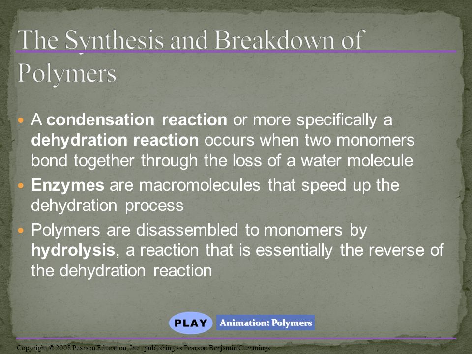 A condensation reaction or more specifically a dehydration reaction occurs when two monomers bond together through the loss of a water molecule Enzymes are macromolecules that speed up the dehydration process Polymers are disassembled to monomers by hydrolysis, a reaction that is essentially the reverse of the dehydration reaction Animation: Polymers Animation: Polymers Copyright © 2008 Pearson Education, Inc., publishing as Pearson Benjamin Cummings