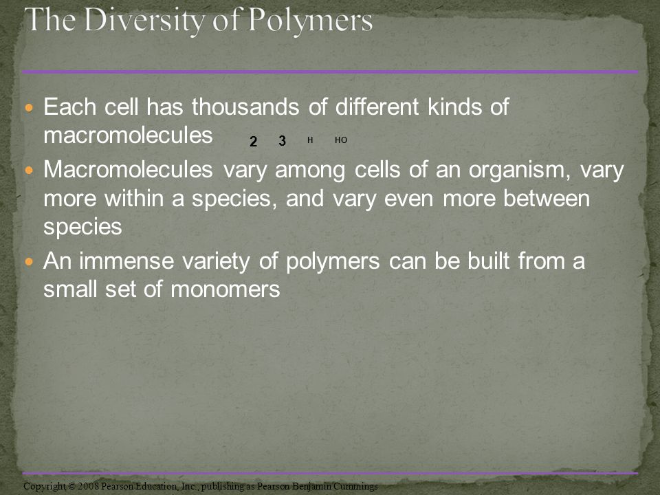 Each cell has thousands of different kinds of macromolecules Macromolecules vary among cells of an organism, vary more within a species, and vary even more between species An immense variety of polymers can be built from a small set of monomers 2 3 HOH Copyright © 2008 Pearson Education, Inc., publishing as Pearson Benjamin Cummings