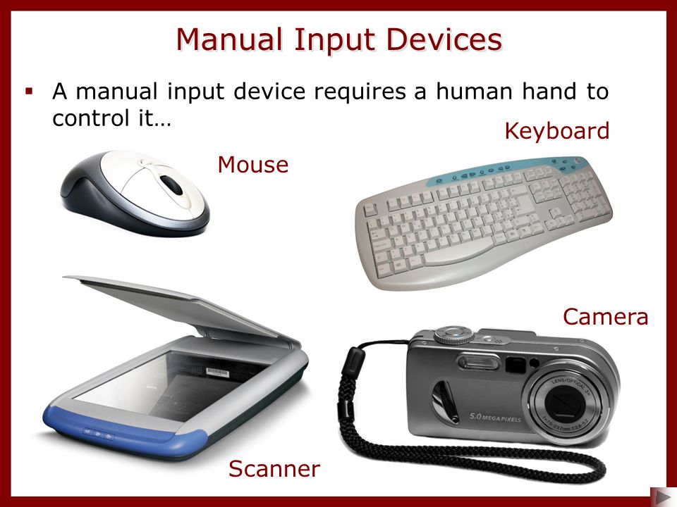 input device