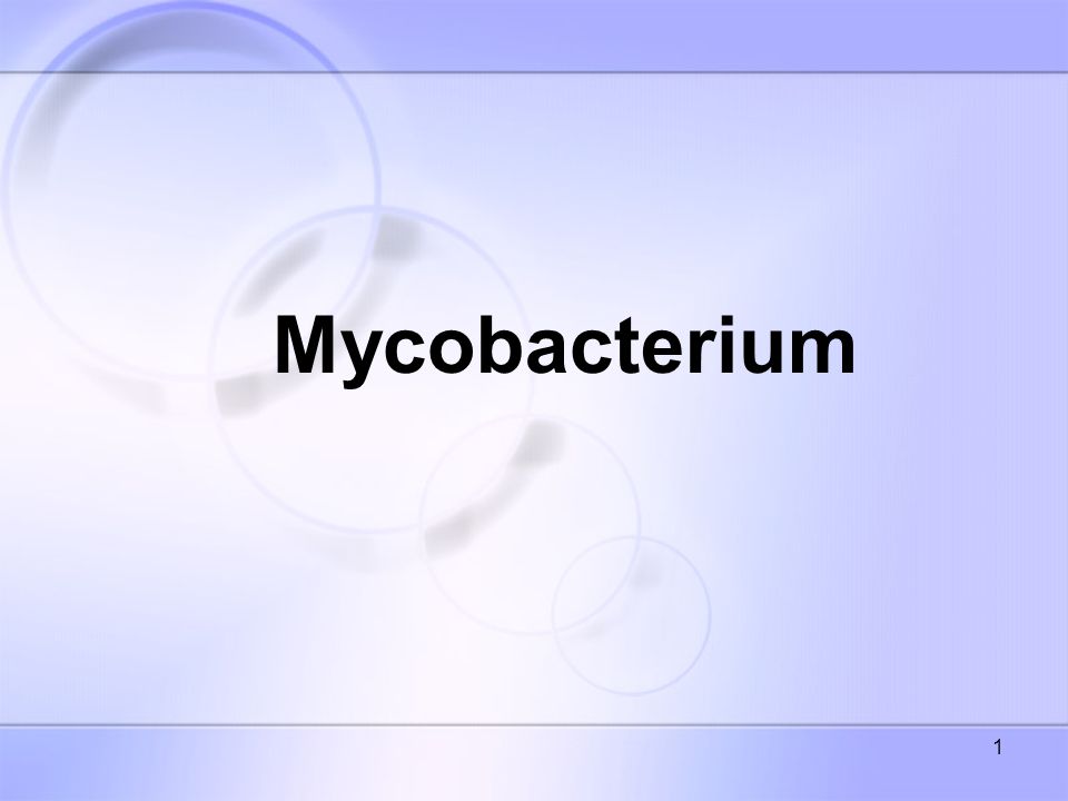 1 Mycobacterium