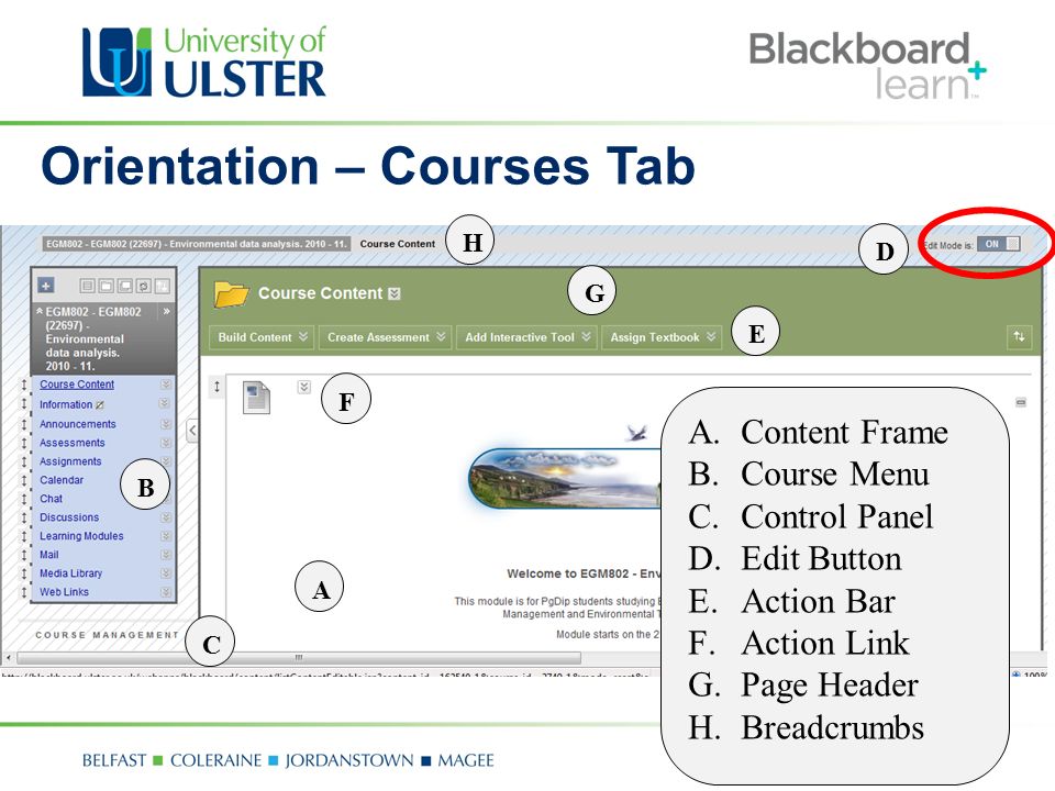 F E D C B A Orientation – Courses Tab A.Content Frame B.Course Menu C.Control Panel D.Edit Button E.Action Bar F.Action Link G.Page Header H.Breadcrumbs G H