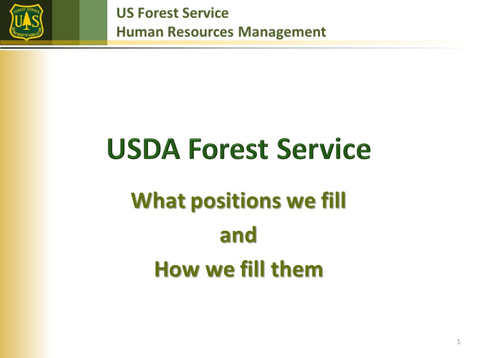 US Forest Service Human Resources Management What positions we fill and How we fill them 1