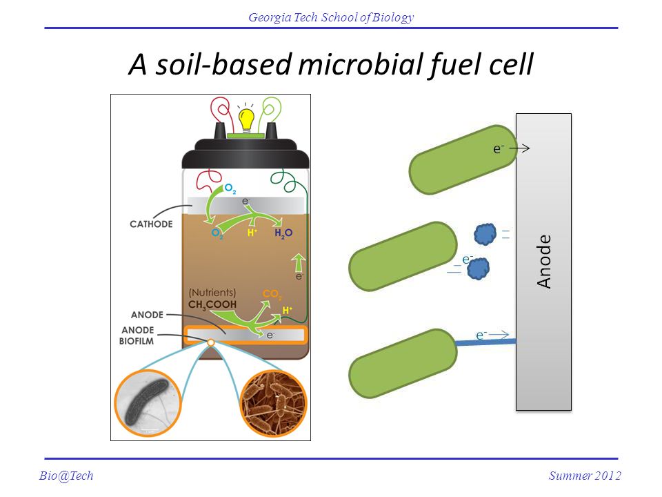 Georgia Tech School of Biology Summer 2012 A soil-based microbial fuel cell