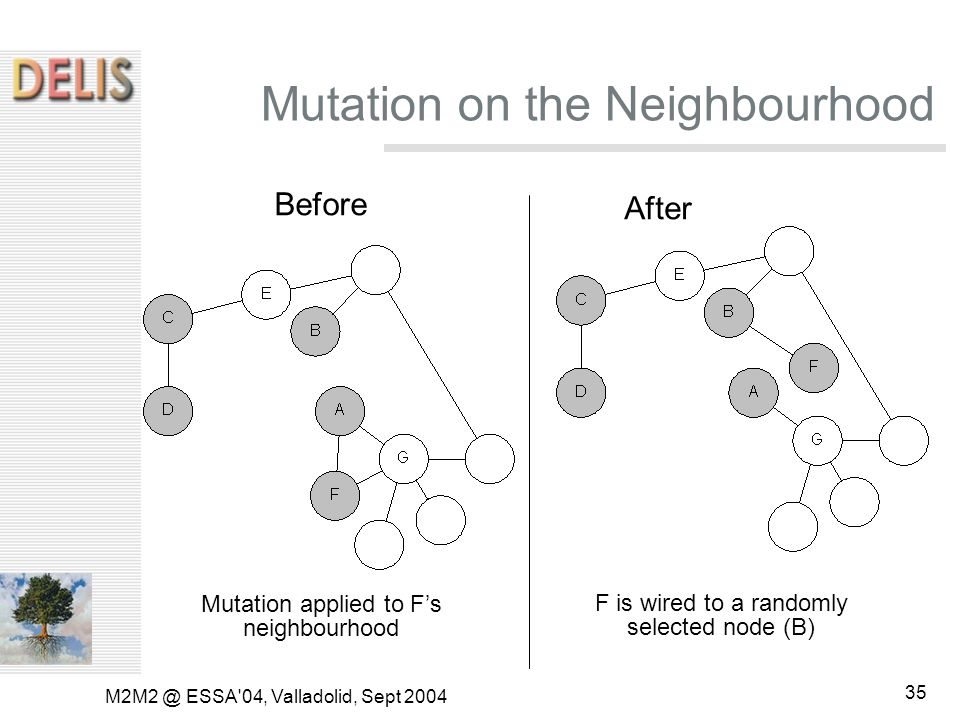 ESSA 04, Valladolid, Sept Mutation on the Neighbourhood Before After Mutation applied to F’s neighbourhood F is wired to a randomly selected node (B)
