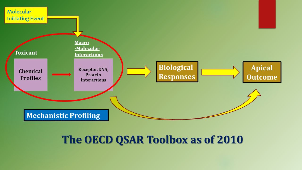 Chemical Profiles Receptor, DNA, Protein Interactions Mechanistic Profiling Biological Responses The OECD QSAR Toolbox as of 2010 Toxicant Macro -Molecular Interactions Molecular Initiating Event Apical Outcome
