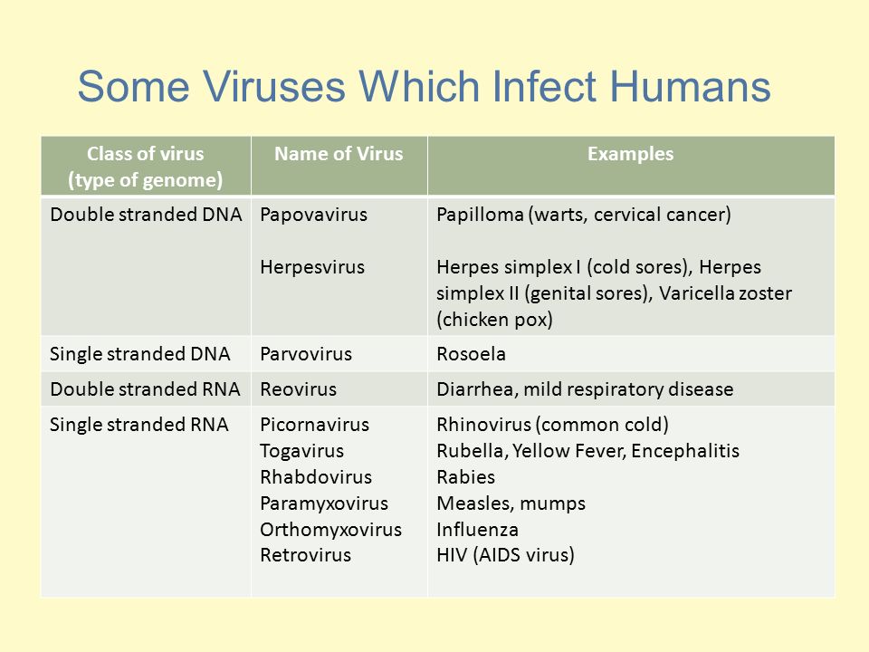 Viruses Viruses Are Very Small Anatomy Of A Virus Ppt Download