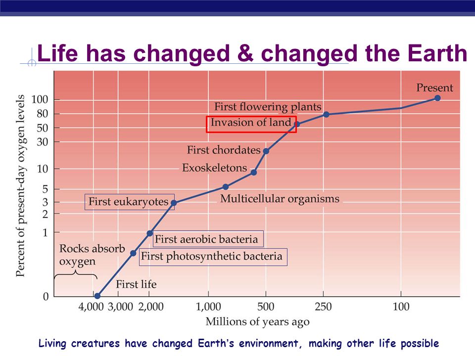 Chapter 26. Origin of Life The historical tree of life can be