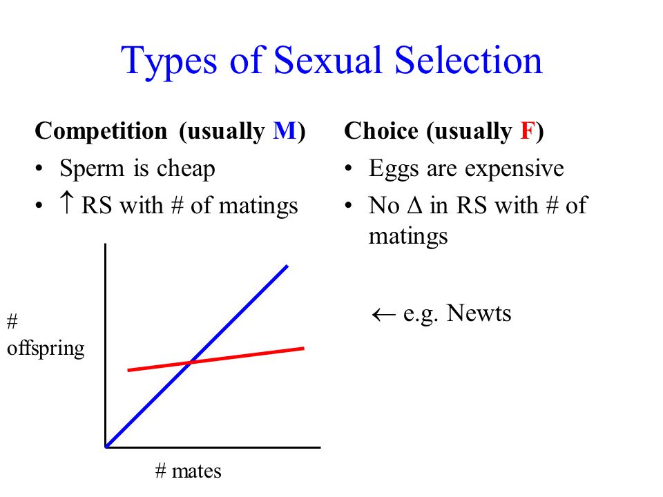 Can cost of sex selection of sperm This cost of sex selection of sperm