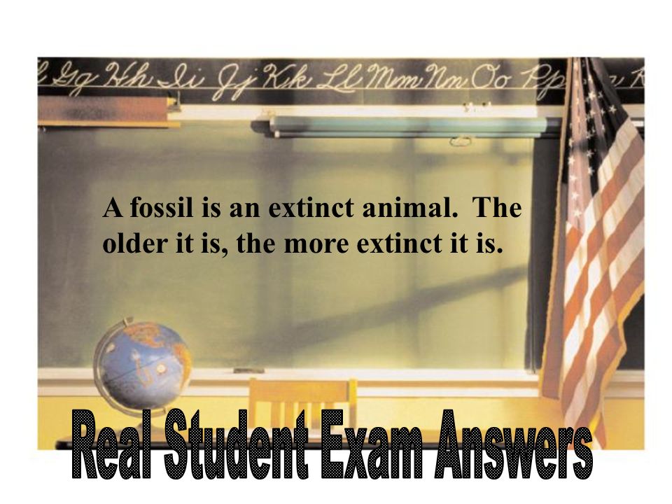 A fossil is an extinct animal. The older it is, the more extinct it is.