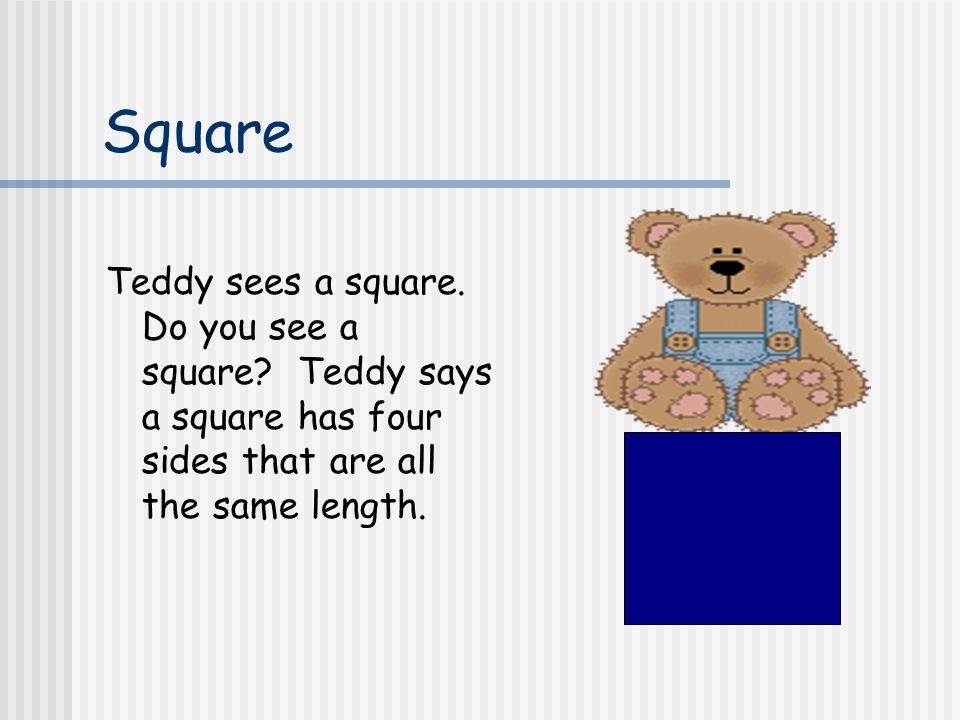 Square Teddy sees a square. Do you see a square.
