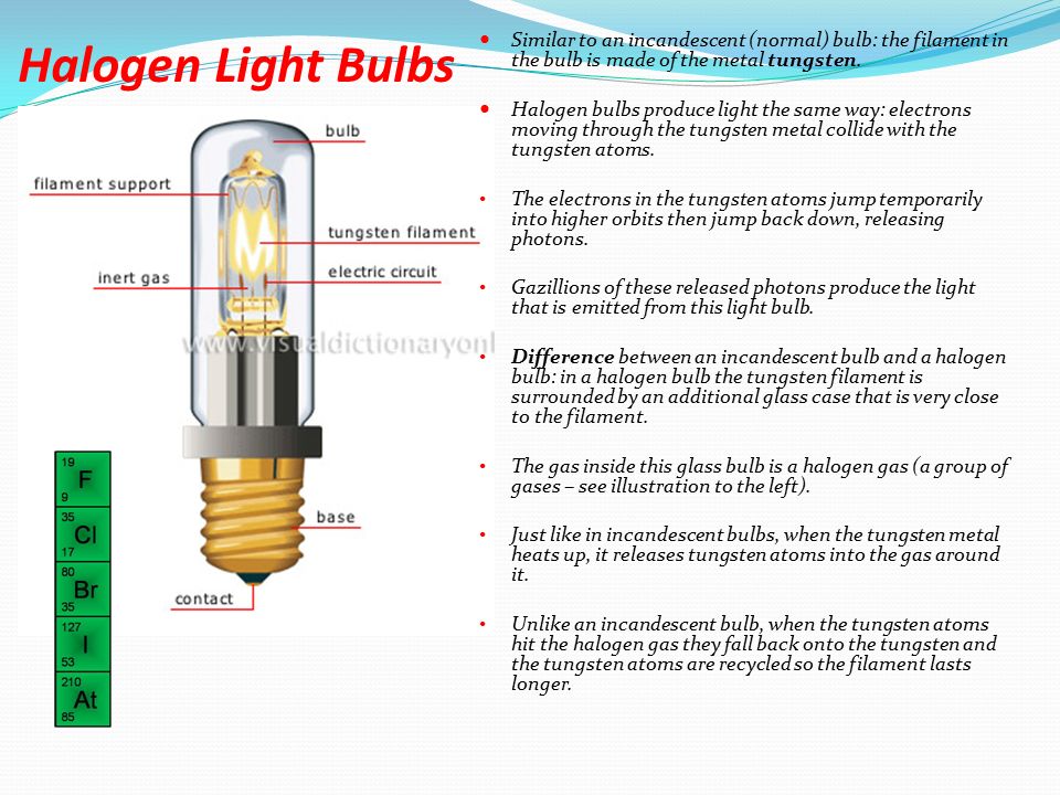 Guiding Questions for Objective 2: How are all light bulbs, (incandescent,  fluorescent, halogen, and LED's), alike in producing light? How are all of  these. - ppt download
