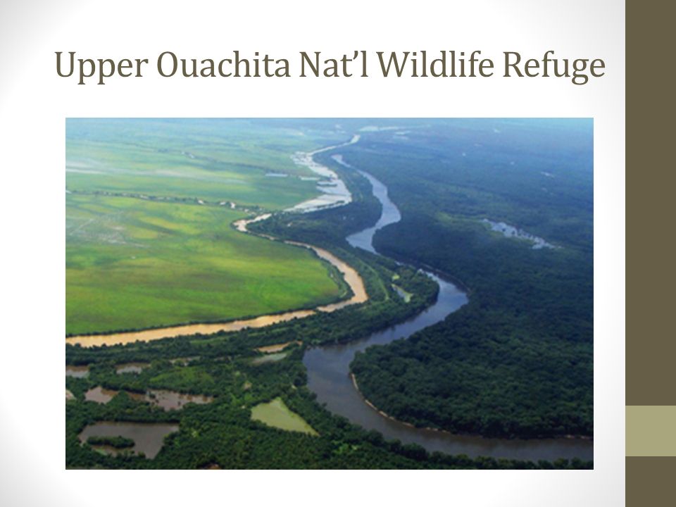 Upper Ouachita Nat’l Wildlife Refuge