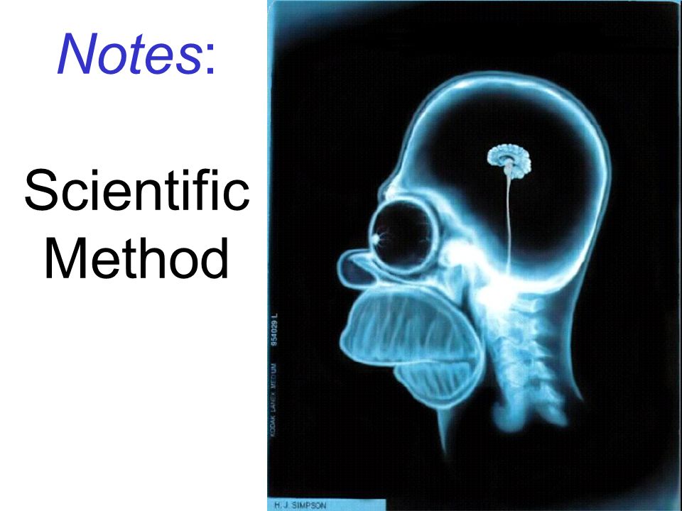 Notes: Scientific Method