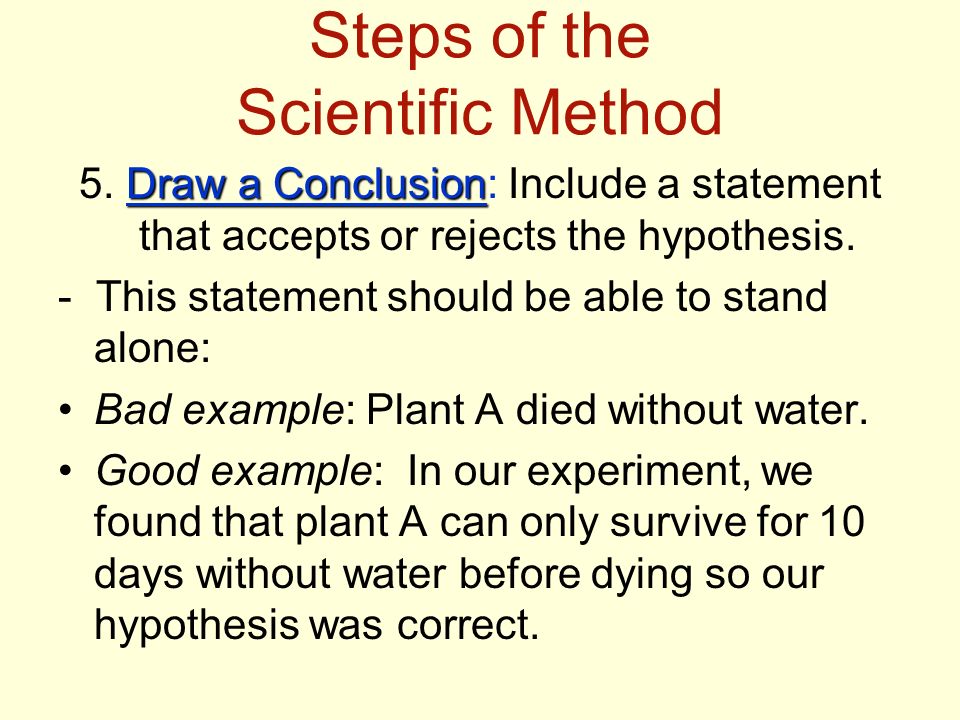 Steps of the Scientific Method Draw a Conclusion 5.