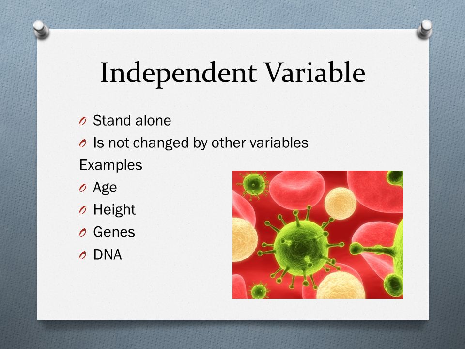 Independent Variable O Stand alone O Is not changed by other variables Examples O Age O Height O Genes O DNA
