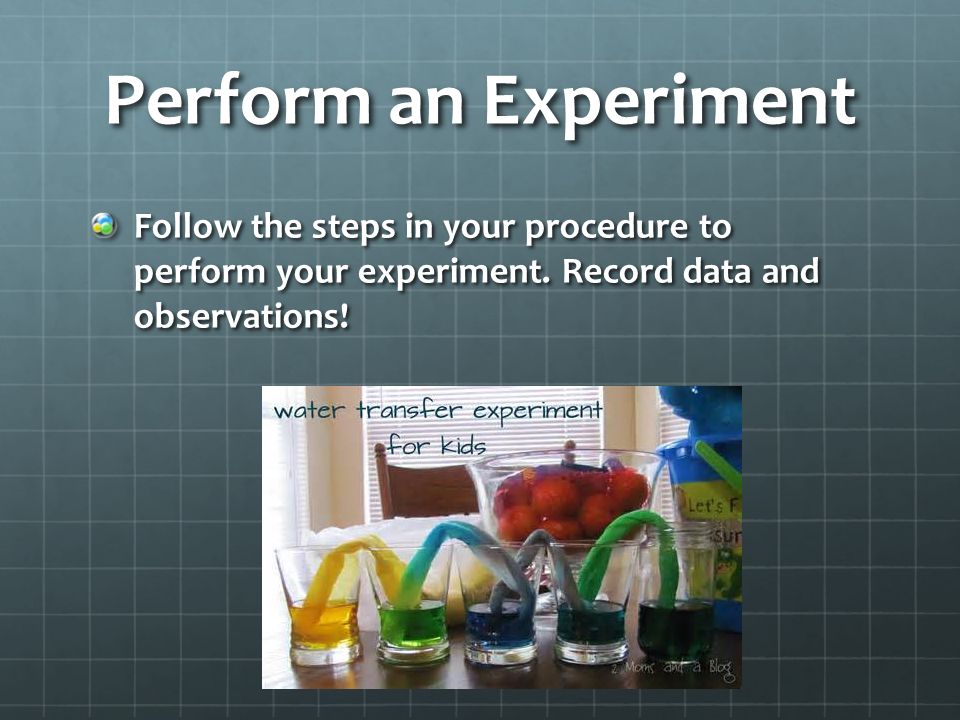 Perform an Experiment Follow the steps in your procedure to perform your experiment.