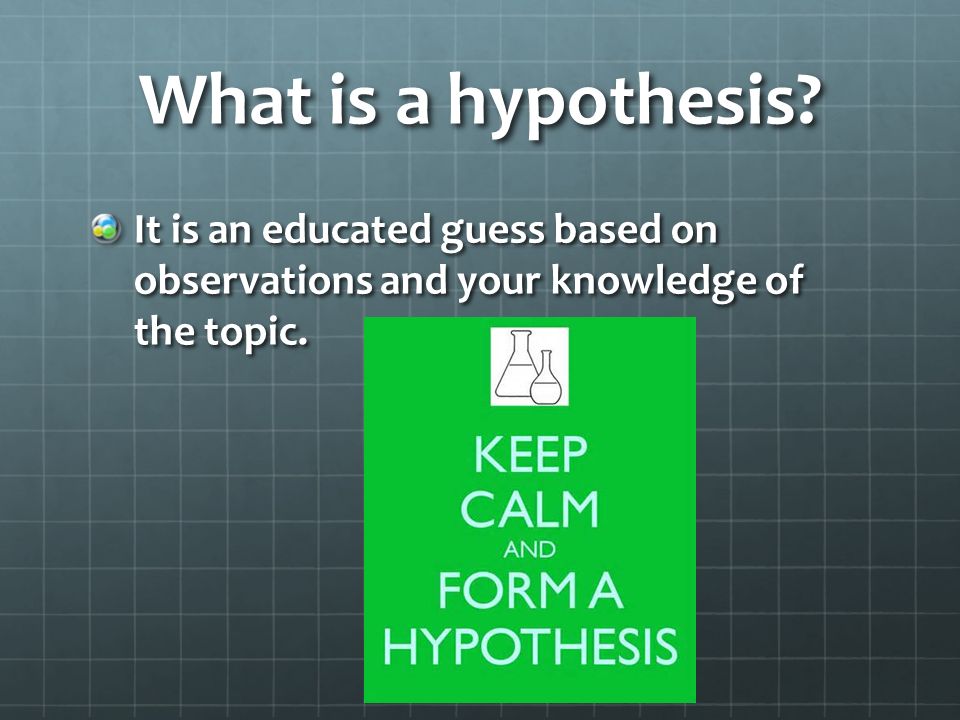 What is a hypothesis.