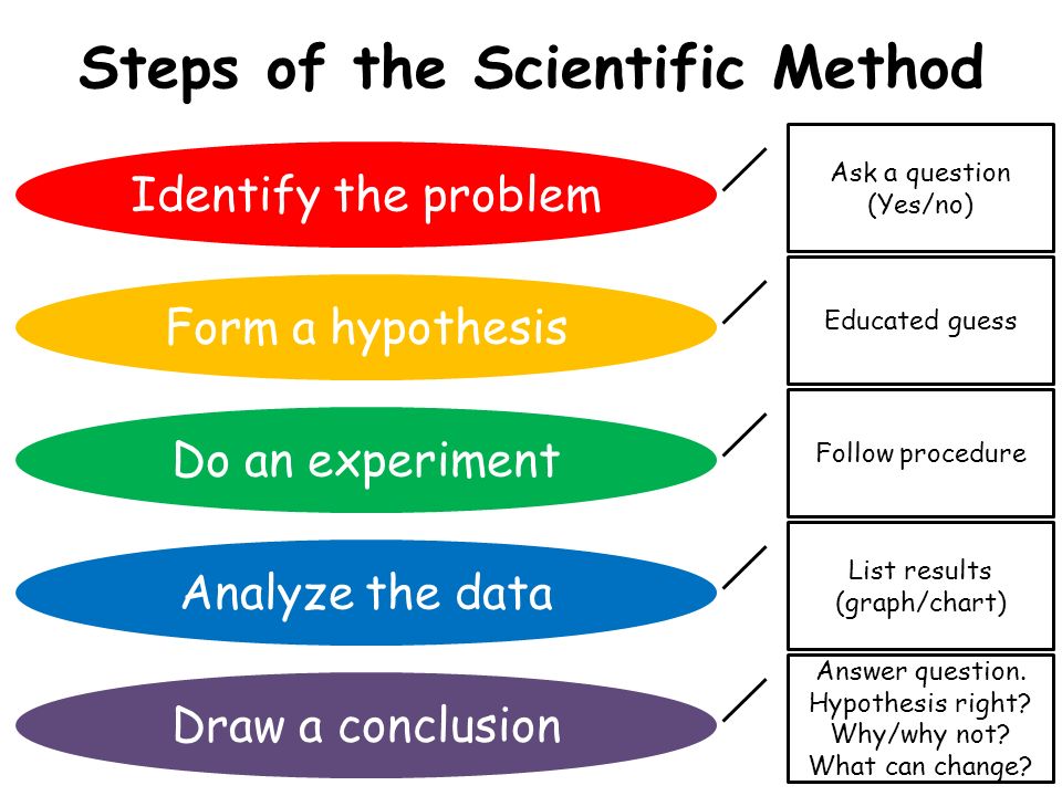 Scientific method. Scientific methods of research. Steps of the Scientific method. Scientific research methodology.