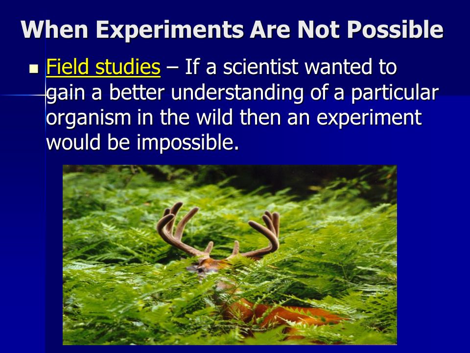 When Experiments Are Not Possible Field studies – If a scientist wanted to gain a better understanding of a particular organism in the wild then an experiment would be impossible.