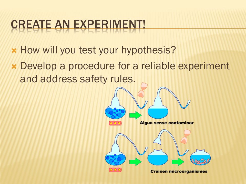  How will you test your hypothesis.