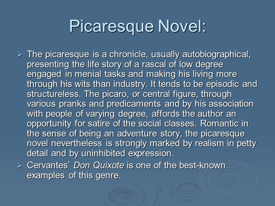What type of character is the protagonist of a picaresque novel