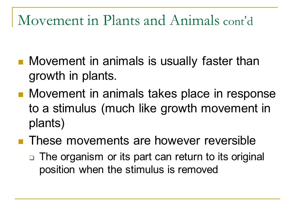 Movement Mechanisms and Roles. Movement in Plants and Animals Syllabus  Objectives  Use examples to distinguish between growth movement in plants  and. - ppt download