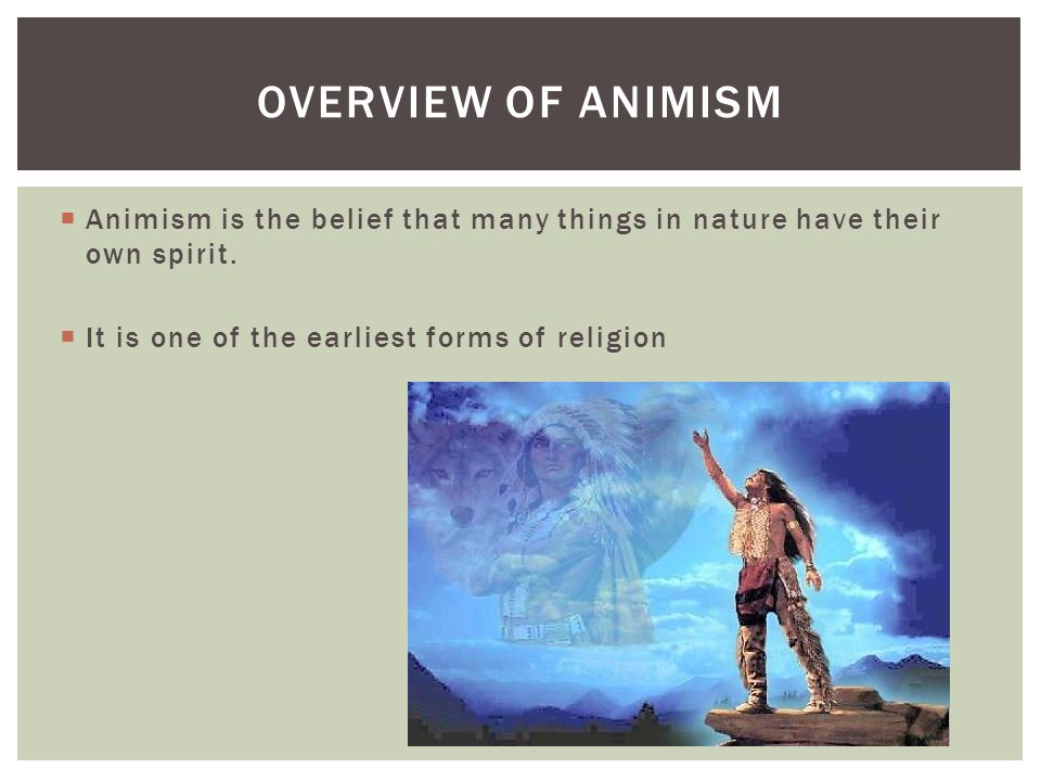 ANIMISM AND SIKHISM.  Animism is the belief that many things in nature  have their own spirit.  It is one of the earliest forms of religion  OVERVIEW. - ppt download