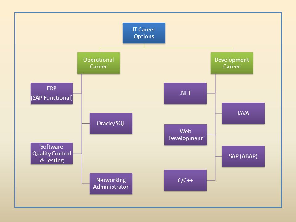 IT Career Options Operational Career ERP (SAP Functional) Oracle/SQL Software Quality Control & Testing Networking Administrator Development Career.NET JAVA Web Development C/C++ SAP (ABAP)