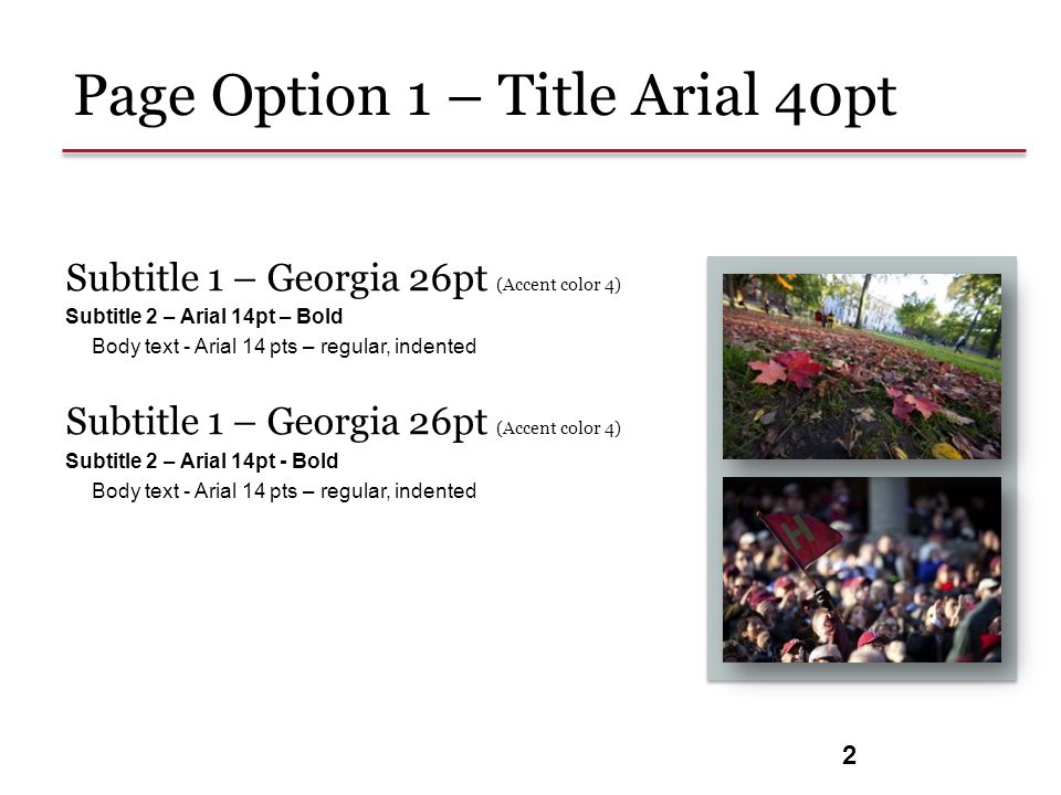 2 Subtitle 1 – Georgia 26pt (Accent color 4) Subtitle 2 – Arial 14pt – Bold Body text - Arial 14 pts – regular, indented Subtitle 1 – Georgia 26pt (Accent color 4) Subtitle 2 – Arial 14pt - Bold Body text - Arial 14 pts – regular, indented Page Option 1 – Title Arial 40pt