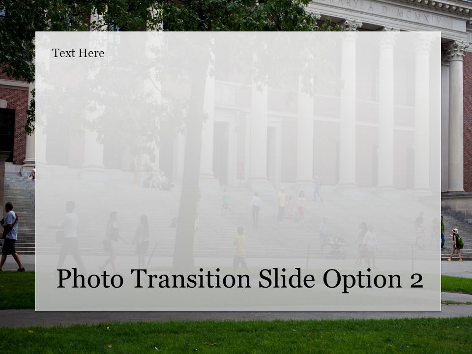 Photo Transition Slide Option 2 Text Here