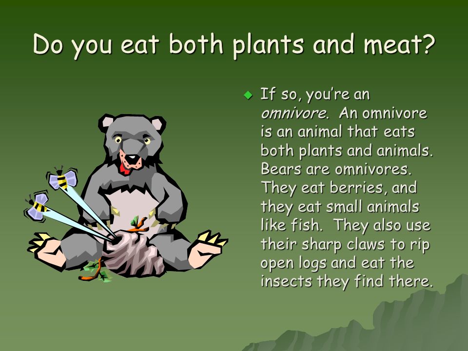 What You're Called and What You Eat. Animals need to eat.  Here's a fact  you know is true every time your tummy growls: animals need to eat. Some  animals. - ppt