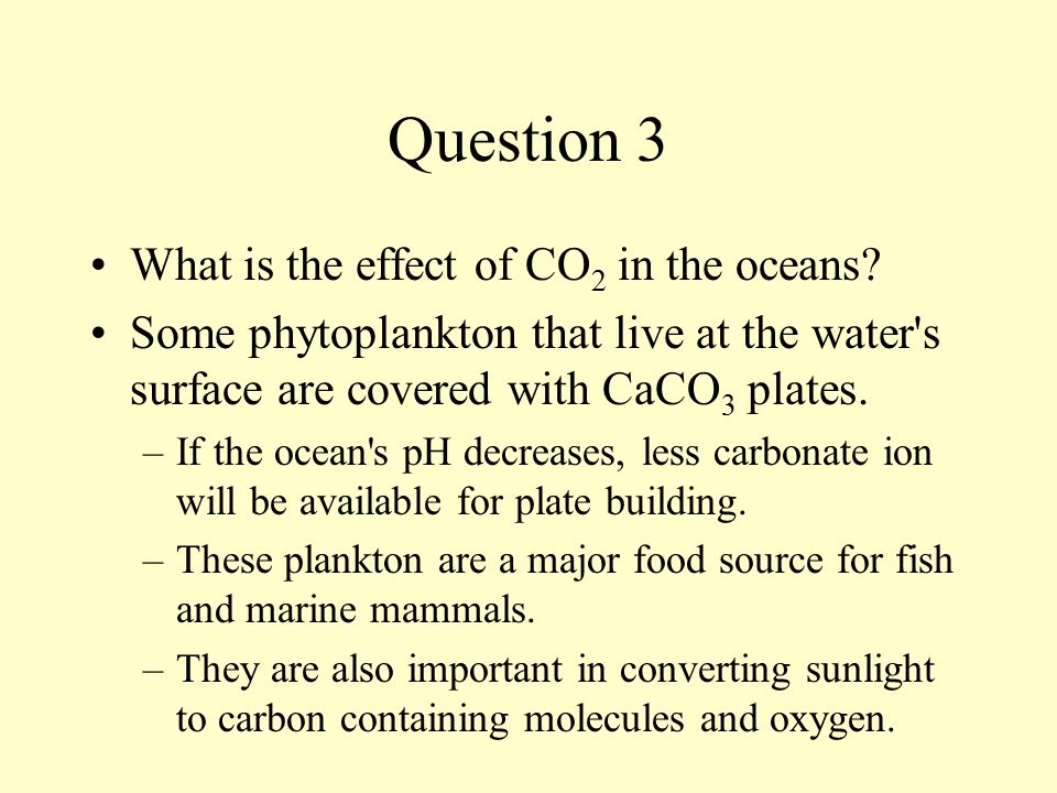 Question 3 What is the effect of CO 2 in the oceans.