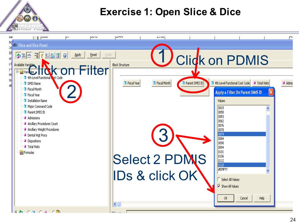 Exercise 1: Open Slice & Dice 24 Click on PDMIS 3 2 Click on Filter 1 Select 2 PDMIS IDs & click OK