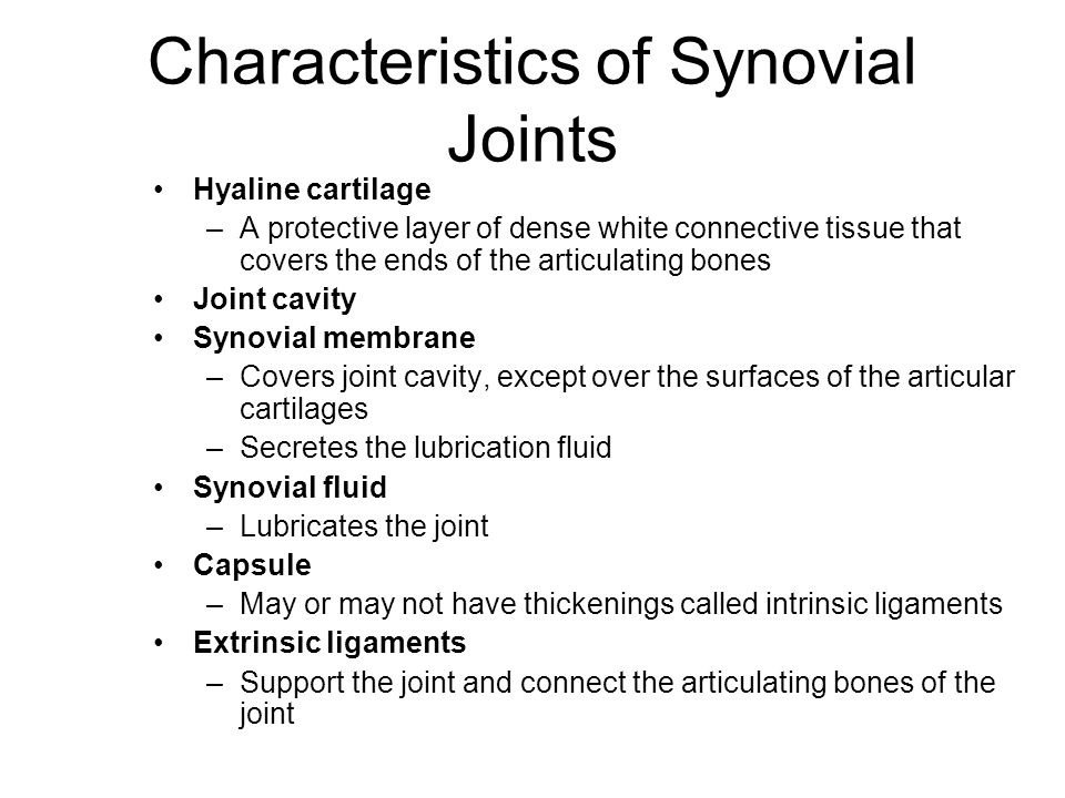 7 characteristics of synovial joints