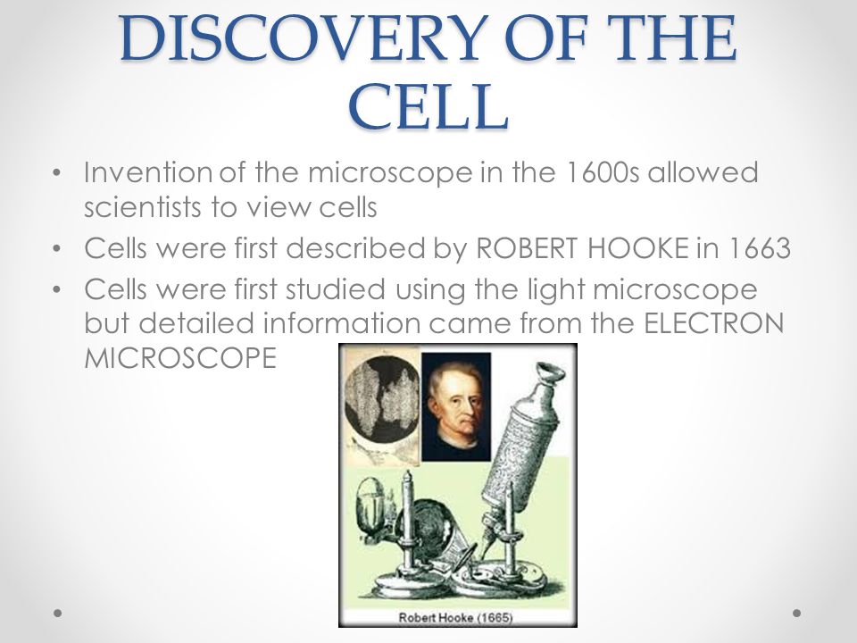 Plant and Animal Cells. DISCOVERY OF THE CELL Invention of the  microscope in the 1600s allowed scientists to view cells Cells were first  described. - ppt download