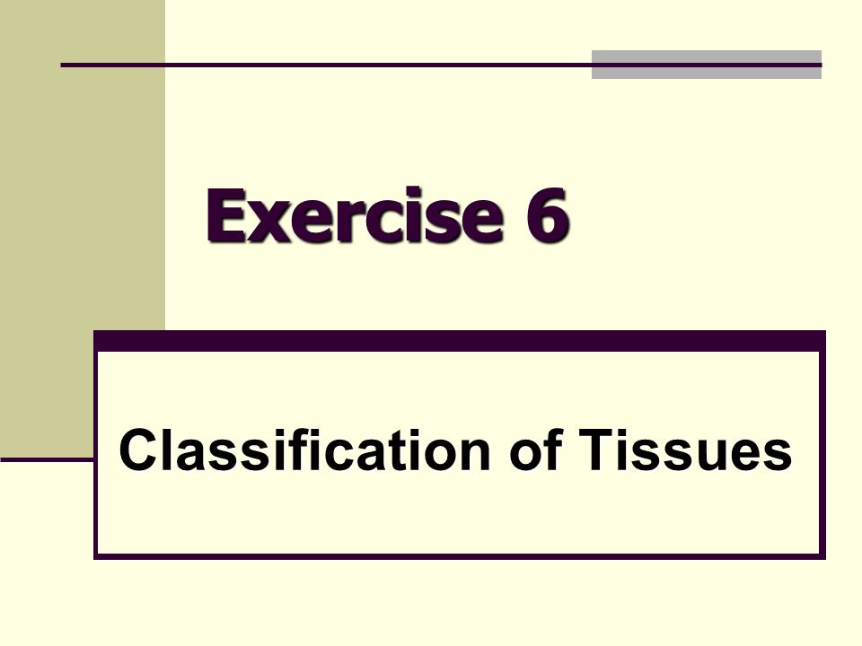 Exercise 6 Classification Of Tissues What Is A Tissue