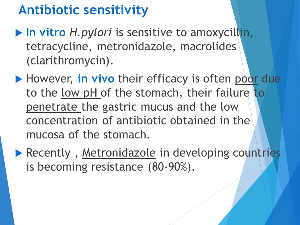 Role Of H Pylori In Peptic Ulcer And Drugs Used In Treatment Dr Fawzia Alotaibi Ppt Download