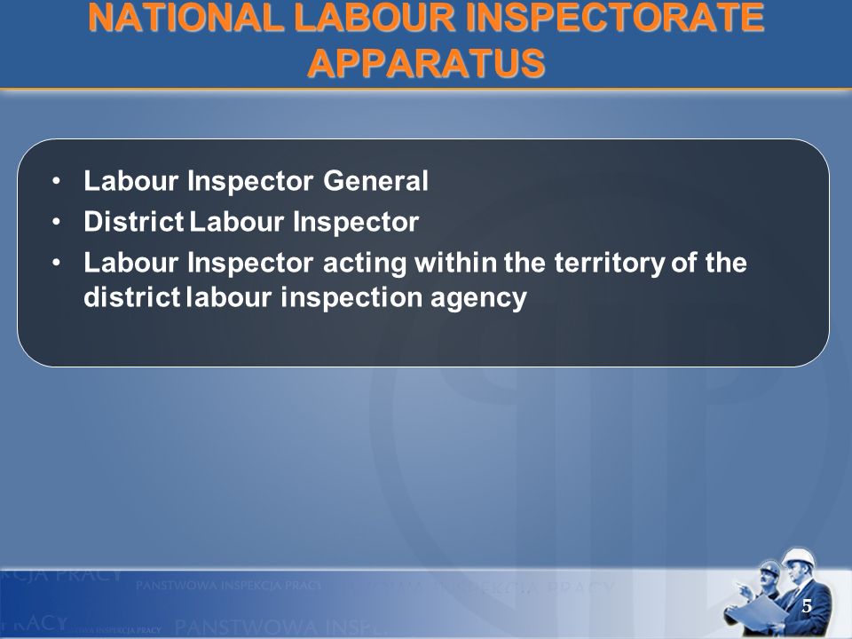NATIONAL LABOUR INSPECTORATE APPARATUS Labour Inspector General District Labour Inspector Labour Inspector acting within the territory of the district labour inspection agency 5