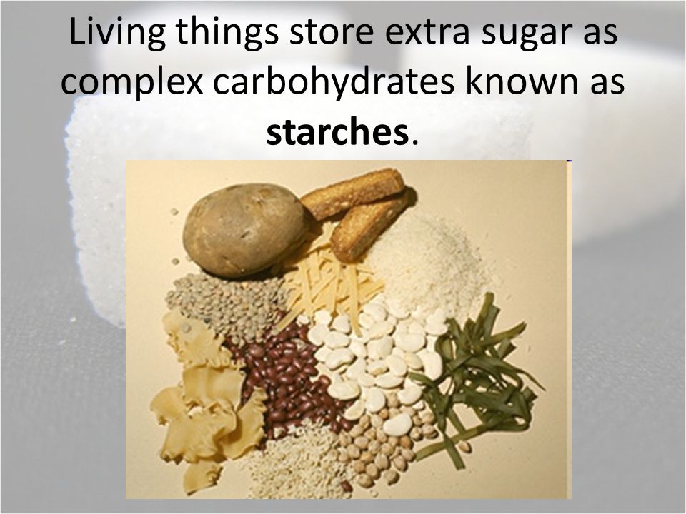 Living things store extra sugar as complex carbohydrates known as starches.
