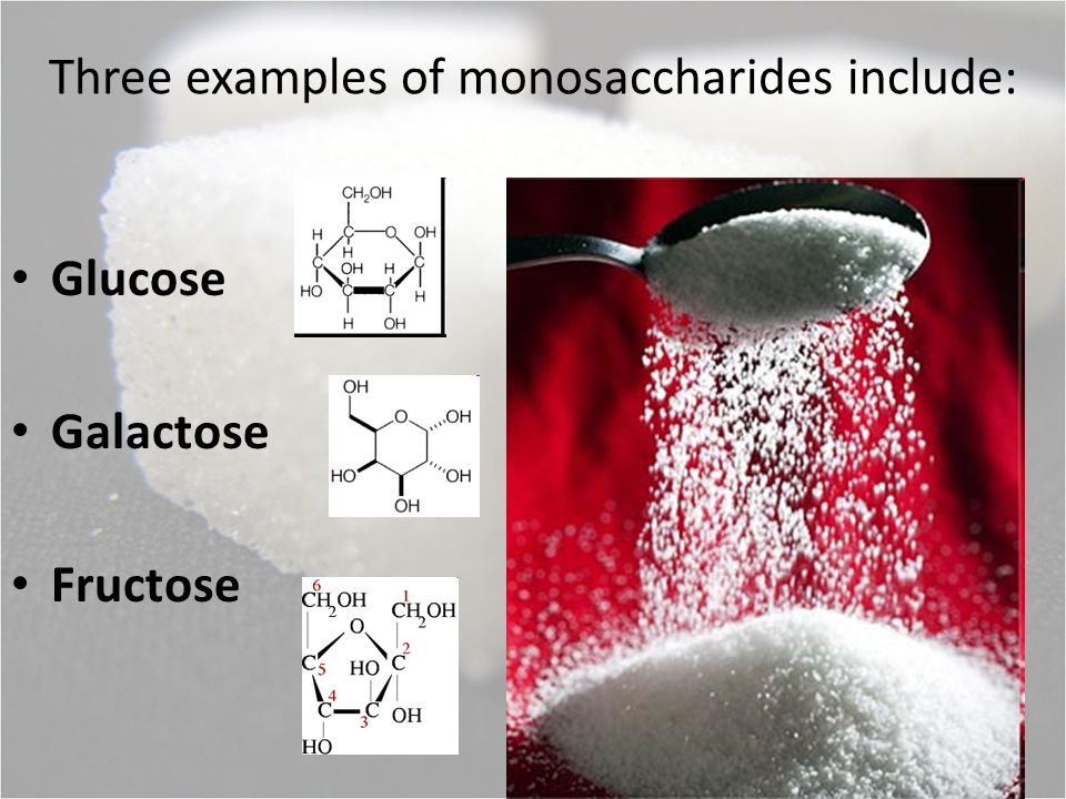 Three examples of monosaccharides include: Glucose Galactose Fructose