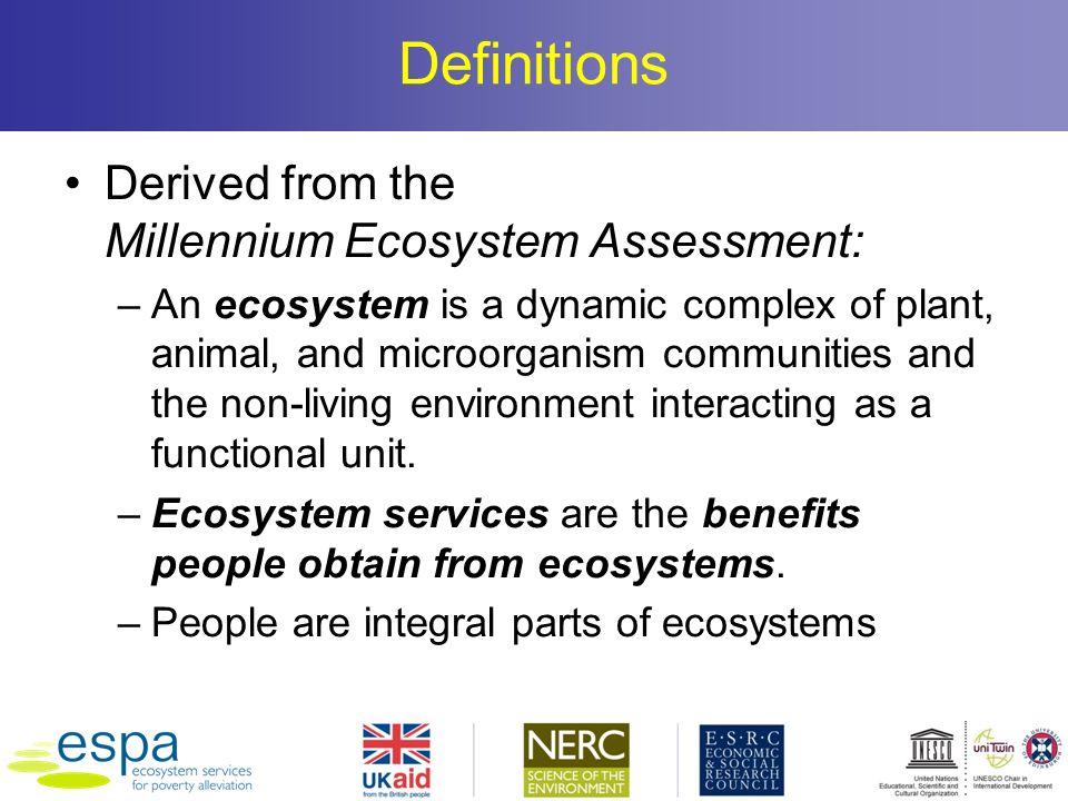 Definitions Derived from the Millennium Ecosystem Assessment: –An ecosystem is a dynamic complex of plant, animal, and microorganism communities and the non-living environment interacting as a functional unit.